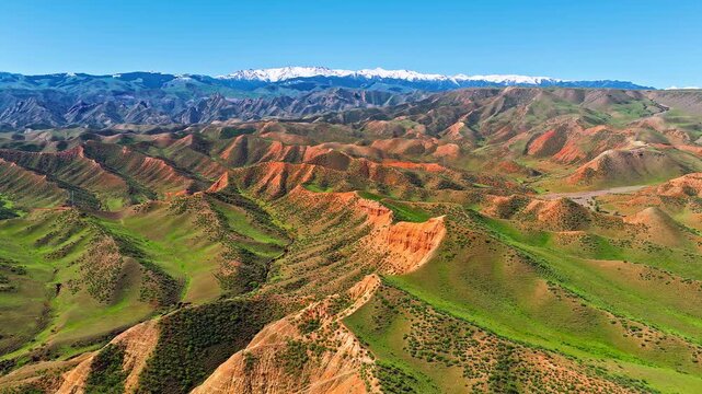 Aerial view of colorful eroded mountains and green valleys under a clear blue sky with snow-capped peaks in Xinjiang, China.