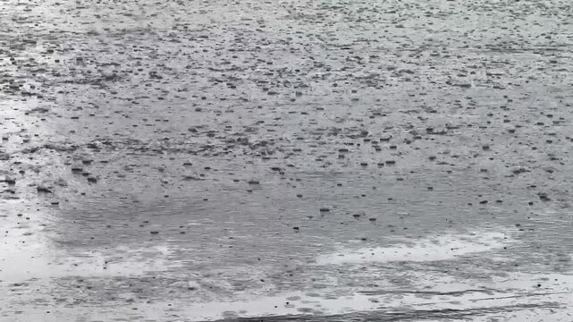 Close-up of raindrops on a puddle