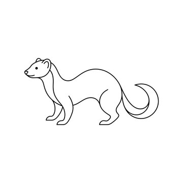 Simple Ferret Outline Vector Icon Animal Line Art Illustration