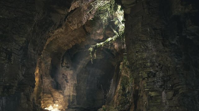 Shadowed grotto punctuated by golden highlights on rocky ledge, suspended vegetation catching rays, intimate dramatic scene combining mystery and warmth in cave