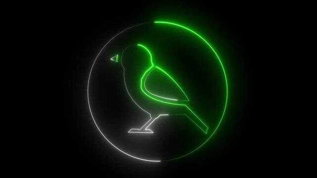 Neon dove bird icon brown cyan color glowing animated black background