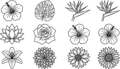 Fototapeta premium Tropical floral element set including hibiscus lotus rose lily monstera leaf sunflower bird of paradise icons collection