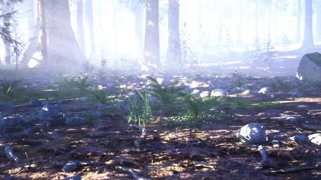 Ethereal backlit forest floor with bright haze and new growth, soft rim light on leaves, cool mist, cinematic depth perfect for environmental storytelling,