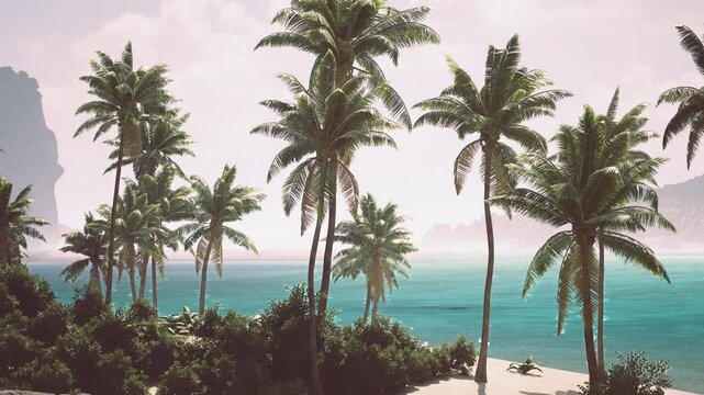 Secluded palm beach ideal sunrise yoga, soft waves and warm light, open sand space for mindful practice, wellness retreat atmosphere set against mauritius