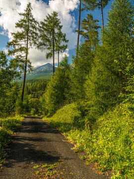 A Scenic Trail to the Tatra Peaks