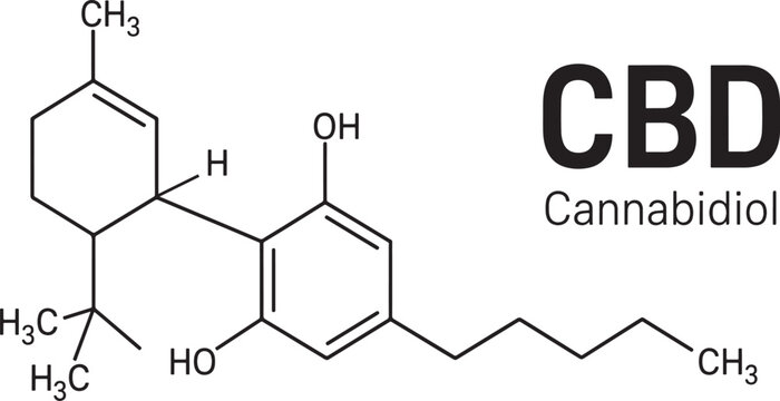 chemical structure of a molecule