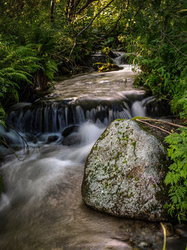 Mossy Rock Beside Flowing Forest Stream With Small Waterfall and Lush Greenery