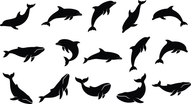 Set of black silhouette dolphin and whale shapes for a creative marine life animal vector design collection