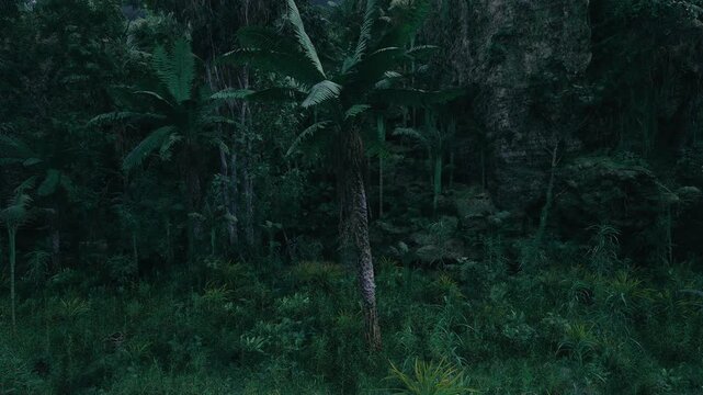 Serene foggy forest clearing. Quiet mist filled woodland with ferns. Ethereal forest opening shrouded in mist with delicate trees and subdued greens