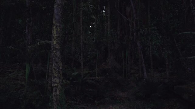 Glittering rain particles in dense forest night, tiny light specks shimmer against deep shadow, dripping leaves and saturated soil add tactile sense, cinematic