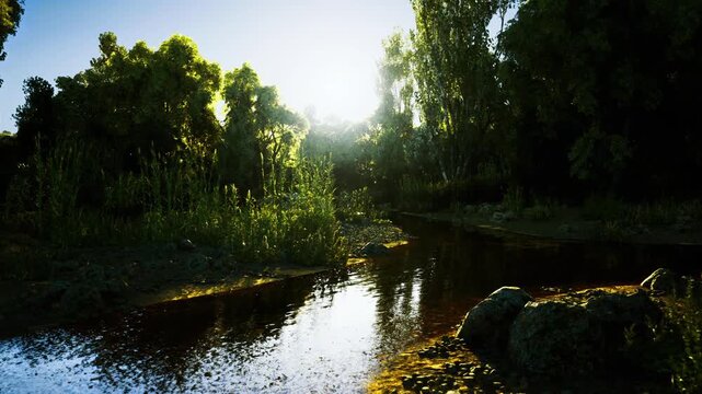 Backlit river at sunrise, golden glow illuminates foliage and shimmering surface, intimate woodland corridor suggesting renewal and ideal for travel editorials