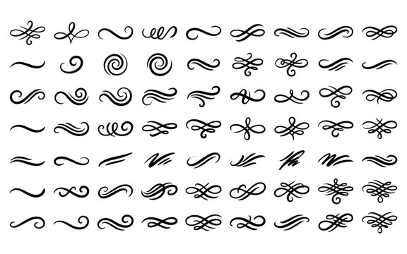 Collection of elegant black flourish swirls and decorative calligraphic elements on a white background for design projects