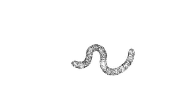 Sketch earthworm icon animation - smooth progressive reveal
