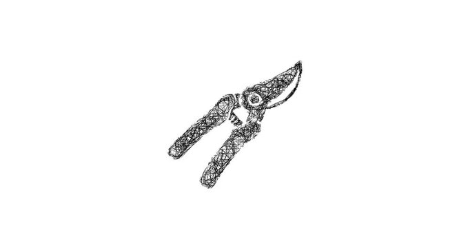 Sketch pruning shears icon animation - smooth progressive reveal