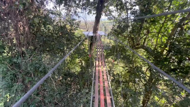 Walking on the rope bridge between trees, Vang Vieng Zip-line, Laos
