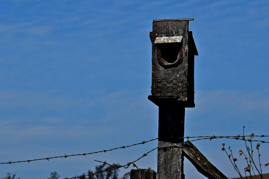 Well used old bird house ornamented with horseshoe entryway atop fence post 