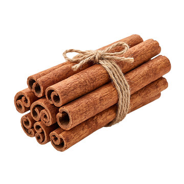 bundle of cinnamon sticks tied with jute twine isolated on transparent background for culinary spice decoration.