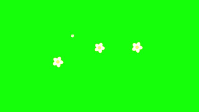 小さな白い花のイラストが下から繰り返し現れる可愛い装飾アニメーション／A cute decorative animation featuring small white flower illustrations repeatedly rising from the bottom