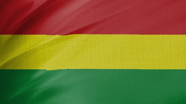 Bolivia Flag Animation With Fabric Texture