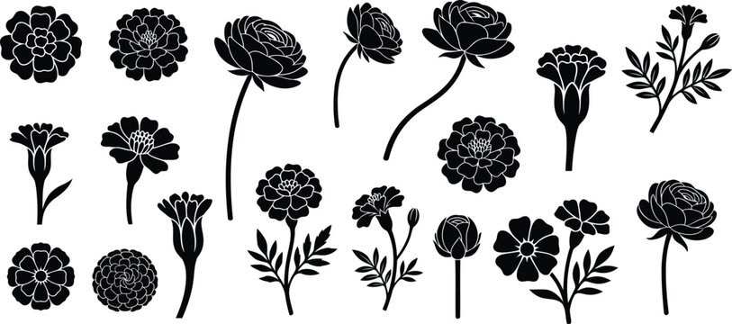 Set of black silhouette marigold flower vector elements for floral design and decorative botanical art projects