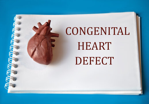 CONGENITAL HEART DEFECT - an inscription on a white notepad lying on a blue background next to a heart model.