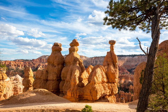 Hoodoos seen from the Queen's Garden Trail in Bryce Canyon National Park, Utah