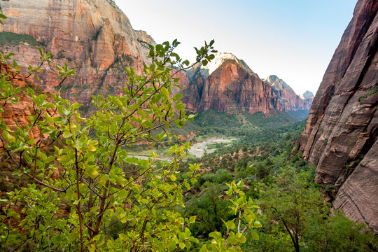 View of Refrigerator Canyon from the West Rim Trail in Zion National Park, Utah