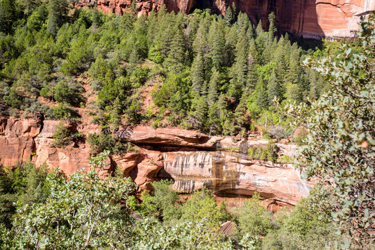 The Emerald Pools area in Zion National Park, Utah