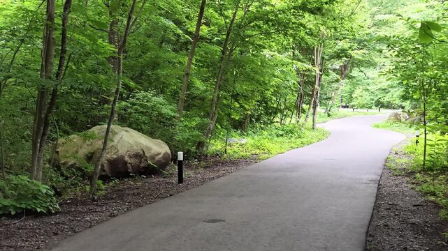 Green leaves frame a gentle, winding path. Lush undergrowth and trees embrace the pavement. Large rock rests beside a simple post. Nature's quiet peace invites slow exploration