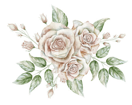 Rose Floral composition. Watercolor illustration with pale pink Flowers, leaves and buds on isolated background. Botanical decorative element for wedding invitations or greeting cards.t