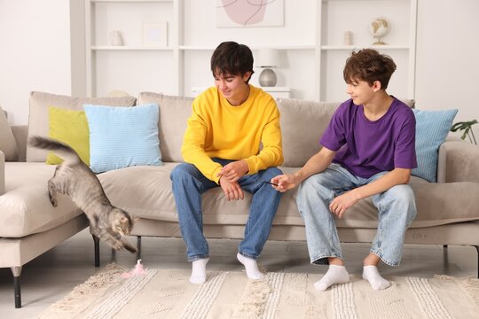 Happy teenage brothers playing with cat on sofa at home