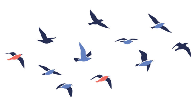 A flock of stylized birds in flight against a plain white background