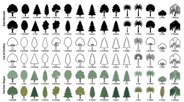 tree shapes plant silhouettes tree types botanical guide icons solid line art flat-color styles.
