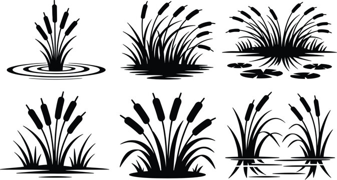 Cattail Silhouette Vector Set, Swamp Reeds, Bulrush, and Aquatic Marsh Plants