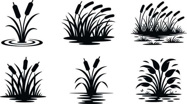 Cattail Silhouette Vector Set, Swamp Reeds, Bulrush, and Aquatic Marsh Plants