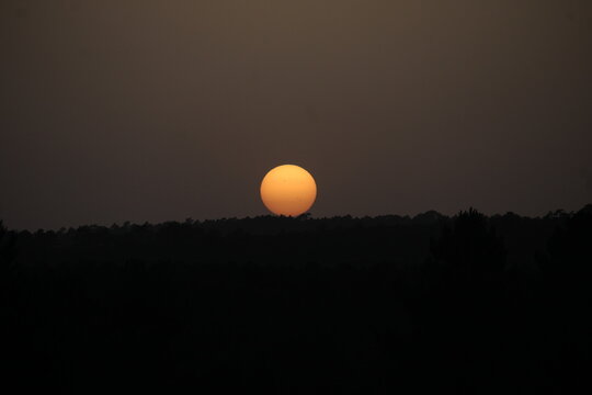 Atardecer sobre el horizonte con calima y disco solar perfecto posado sobre la silueta oscura de un bosque de pinos bajo una atm&oacute;sfera brumosa y crepuscular.