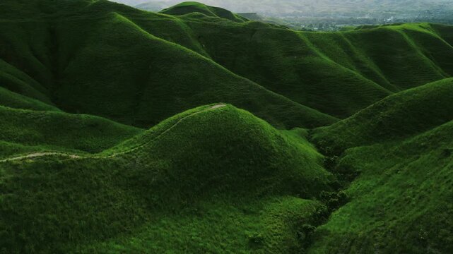Rolling green savanna hills under a wide blue sky in Sumba Island, East Nusa Tenggara, Indonesia
