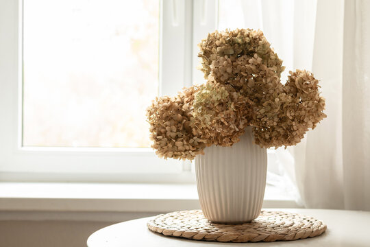 Dried hydrangea bouquet in white ceramic vase on bright window sill cozy autumn home decor