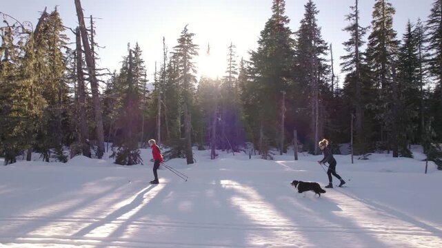 Happy retired couple cross country skiing with dog, winter sport, outdoors, whistler.