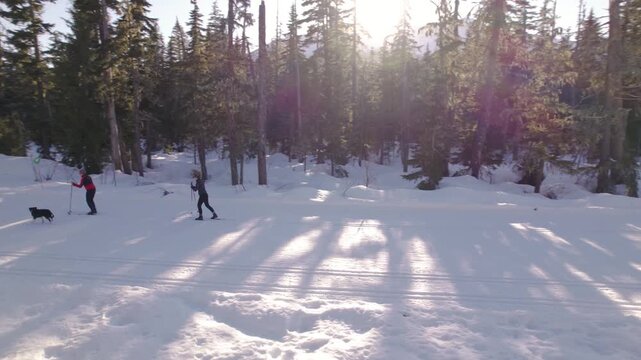 Happy retired couple cross country skiing with dog, winter sport, outdoors, whistler.