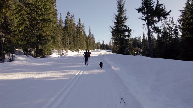 Happy retired couple cross country skiing with dog, winter sport, outdoors, whistler.