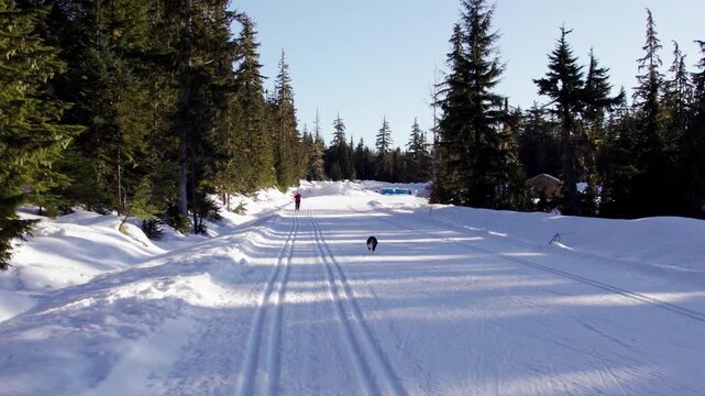 Happy retired couple cross country skiing with dog, winter sport, outdoors, whistler.
