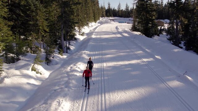Happy retired couple cross country skiing with dog, winter sport, outdoors, whistler.