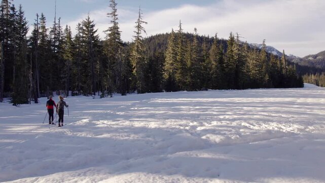 Happy retired couple cross country skiing with dog, winter sport, outdoors, whistler.