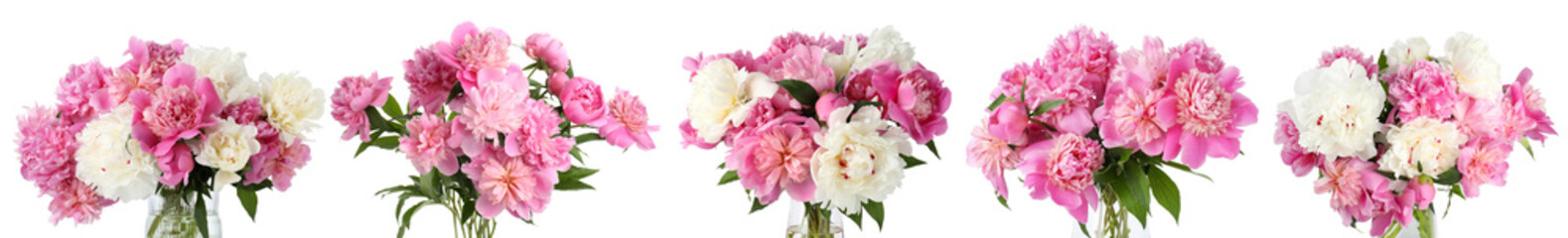 Fototapeta premium Beautiful peonies in vases isolated on white, collection