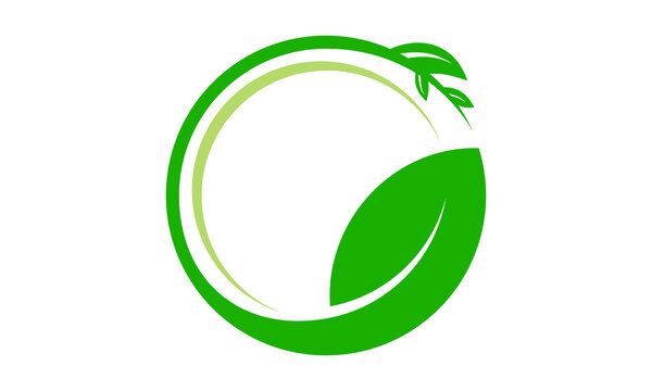 circle leaf logo design