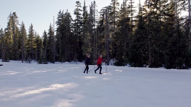 Happy retired couple cross country skiing with dog, winter sport, outdoors, whistler. PRORES