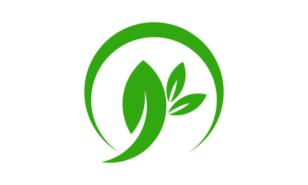 simple leaf circle vector logo