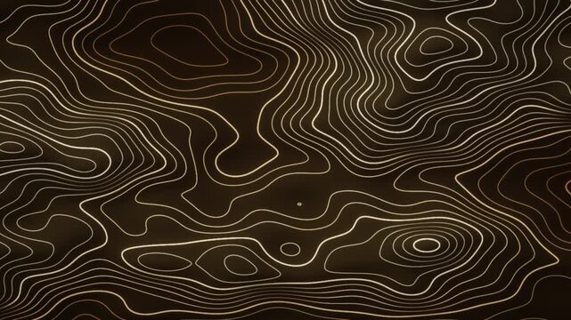 Morphing Topographic Contour Lines Glowing Elevation Map Abstract Motion Background Seamless Loop in cool brown tones
