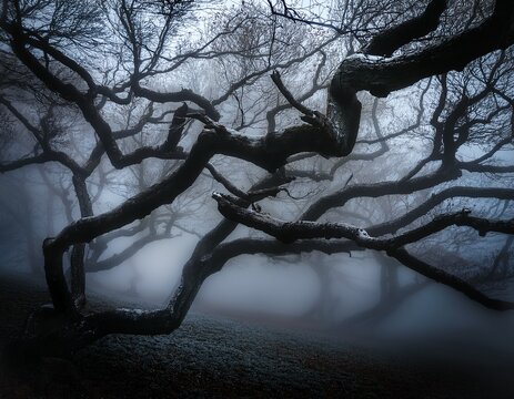 twisted tree branches like skeletal fingers amidst dark mist eerie silence spooky mist